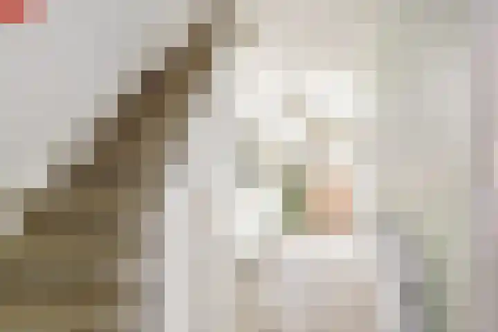 Lepelbladstraat 23 Wormer thumbnail 9