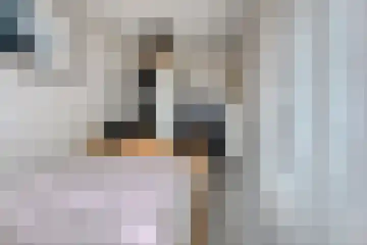 Lepeltjesheide 10 Wolvega thumbnail 13