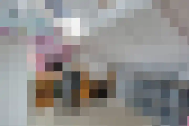 Lepeltjesheide 10 Wolvega thumbnail 17