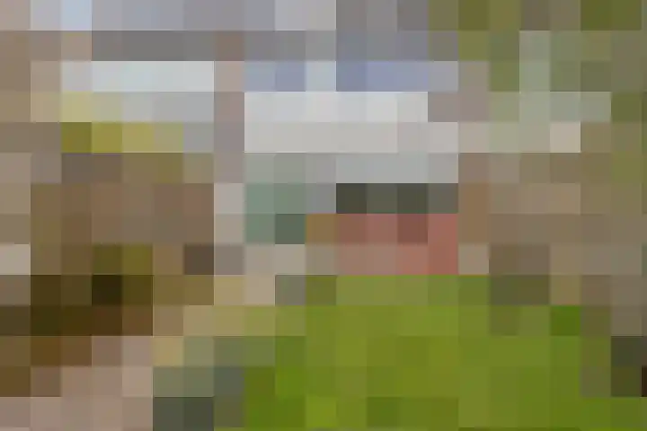Lepeltjesheide 10 Wolvega thumbnail 18