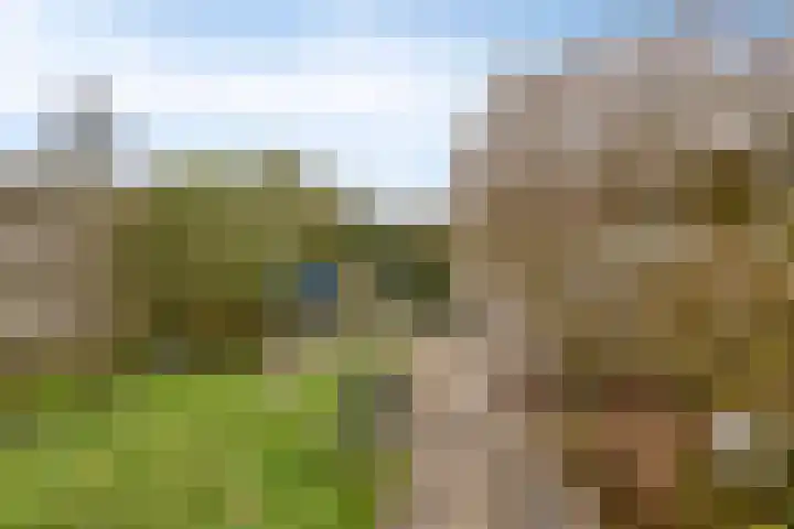 Lepeltjesheide 10 Wolvega thumbnail 19