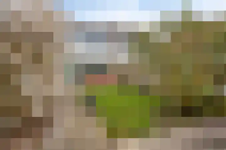 Lepeltjesheide 10 Wolvega thumbnail 22