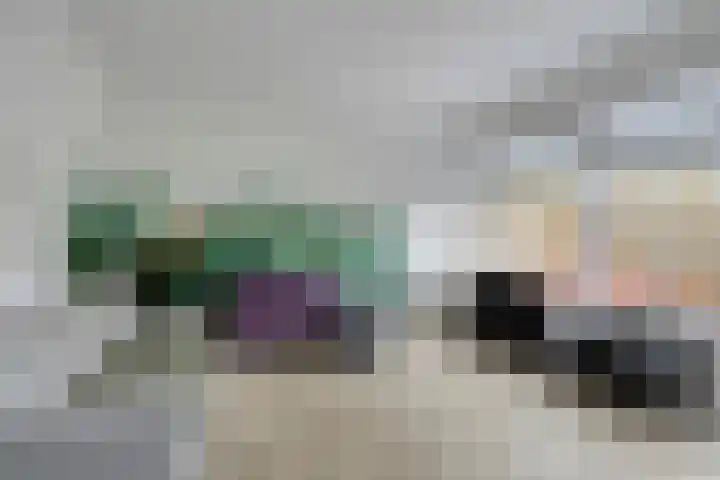 Lepeltjesheide 10 Wolvega thumbnail 4