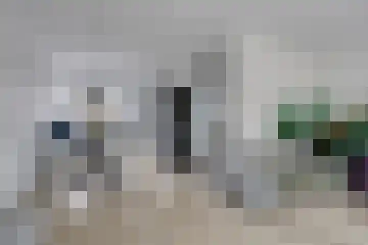 Lepeltjesheide 10 Wolvega thumbnail 5