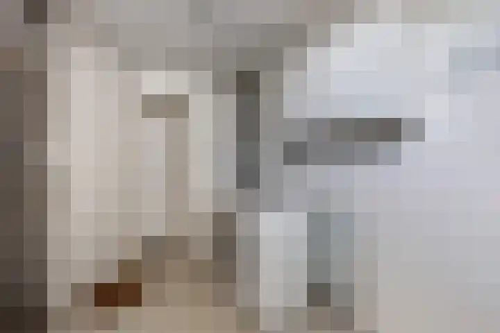 Lepeltjesheide 24 Wolvega thumbnail 22