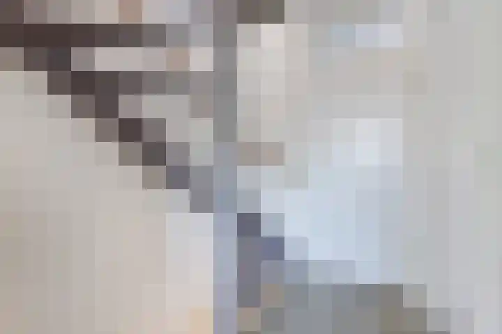 Lepeltjesheide 24 Wolvega thumbnail 23
