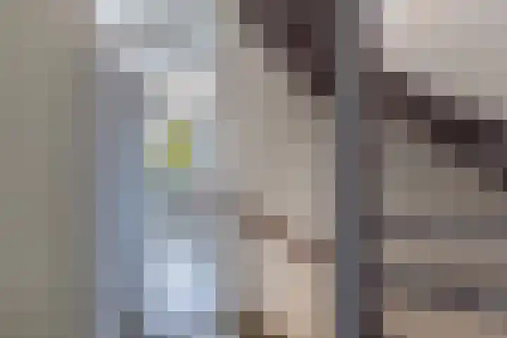 Lepeltjesheide 24 Wolvega thumbnail 24