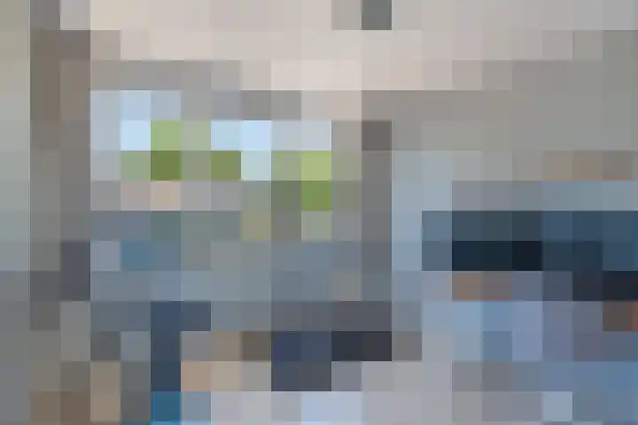 Lepeltjesheide 24 Wolvega thumbnail 28