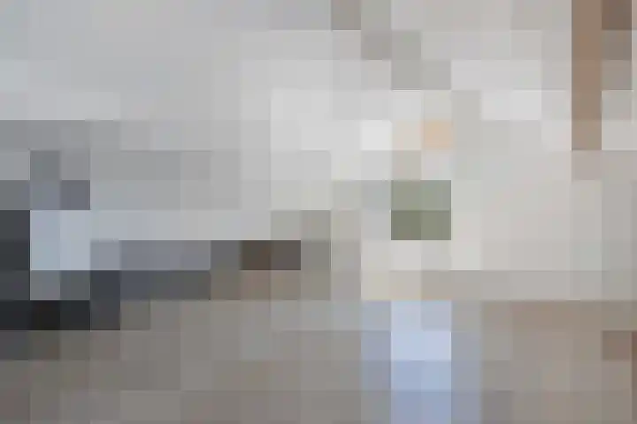 Lepeltjesheide 24 Wolvega thumbnail 35