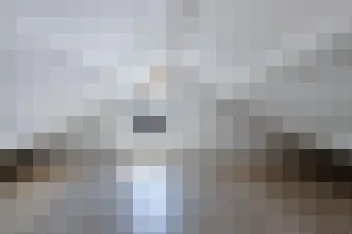 Lepeltjesheide 24 Wolvega thumbnail 36