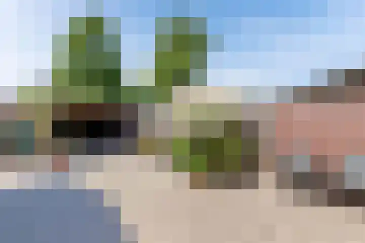 Lepeltjesheide 24 Wolvega thumbnail 42