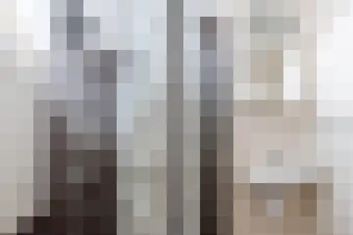Lepeltjesheide 48 Wolvega thumbnail 23