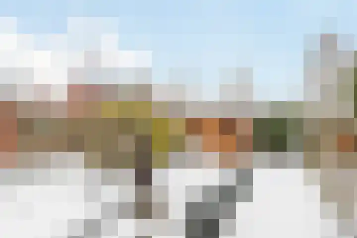 Lepeltjesheide 48 Wolvega thumbnail 27