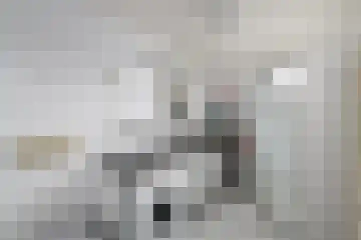 Leppa 125 Drachten thumbnail 27