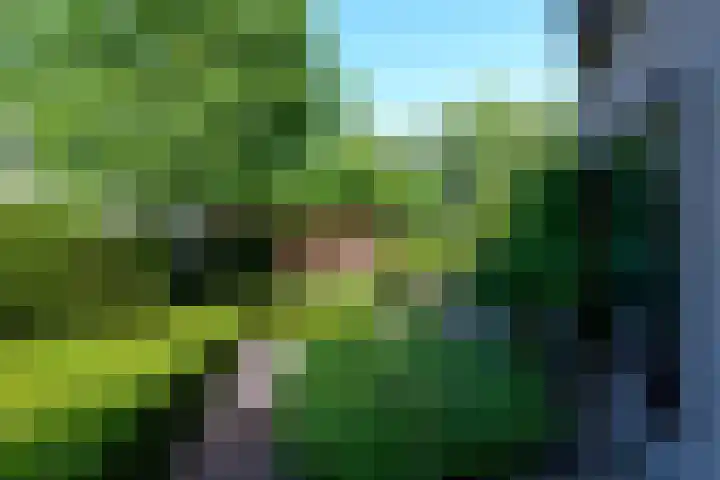 Leppa 125 Drachten thumbnail 39