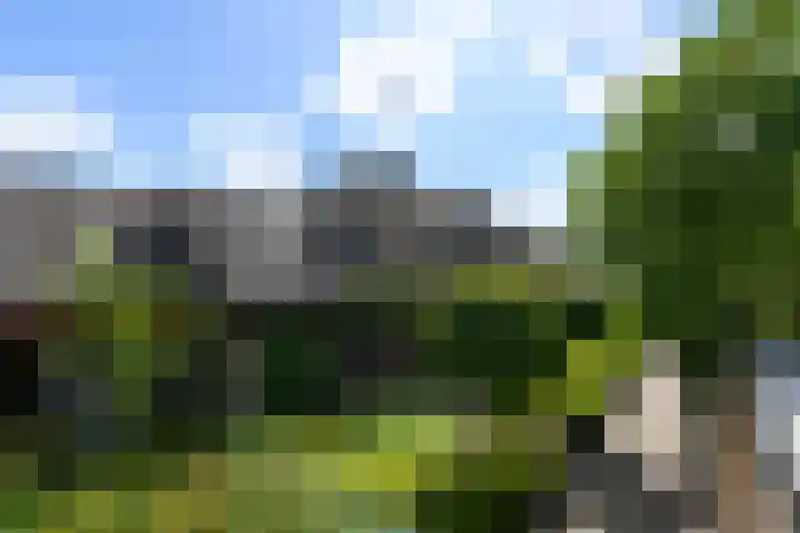 Leppa 125 Drachten thumbnail 4