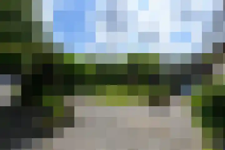 Leppa 125 Drachten thumbnail 41