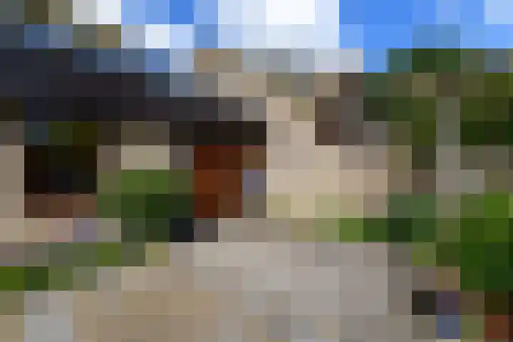 Leppa 125 Drachten thumbnail 46