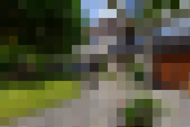 Leppa 125 Drachten thumbnail 47