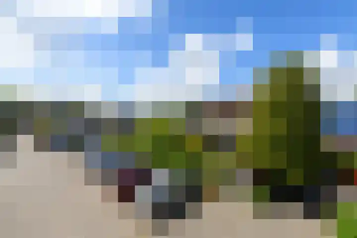 Leppa 125 Drachten thumbnail 49