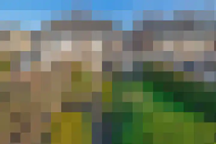 Leppa 3 Drachten foto 2