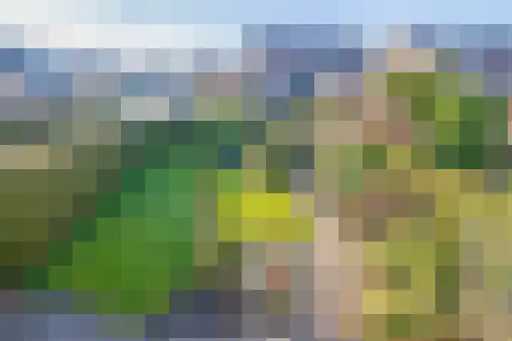 Leppa 3 Drachten thumbnail 32