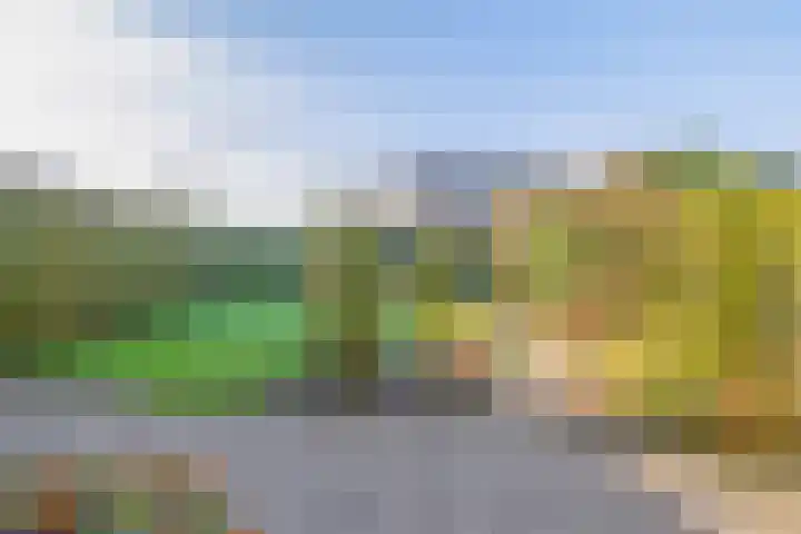 Leppa 3 Drachten thumbnail 33