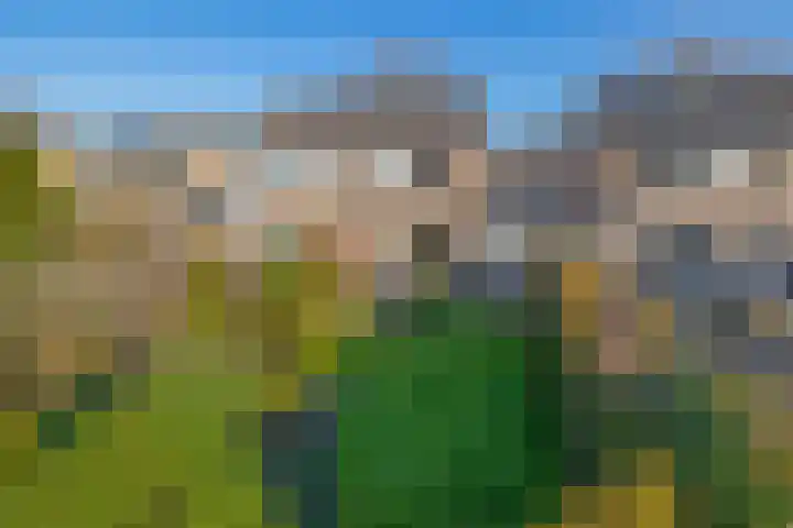 Leppa 3 Drachten thumbnail 35