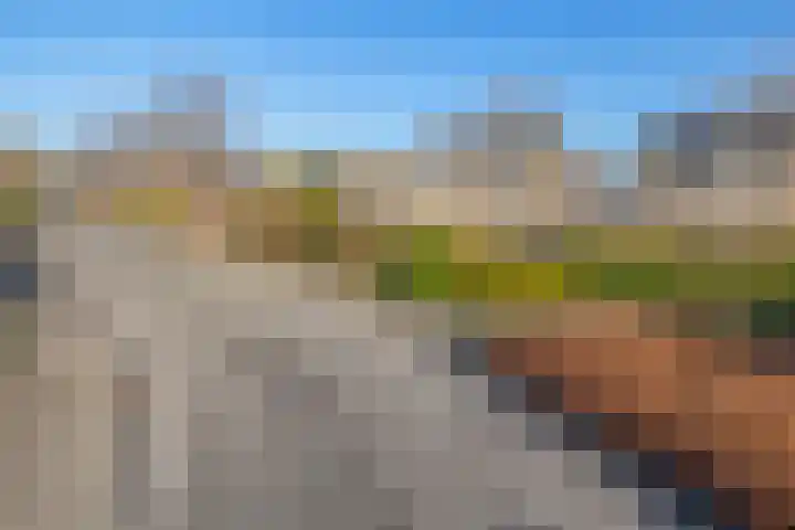 Leppa 3 Drachten thumbnail 38