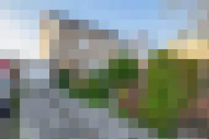 Leppa 3 Drachten thumbnail 6