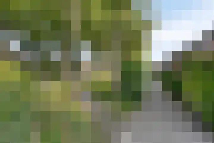 Leppa 58 Drachten thumbnail 34
