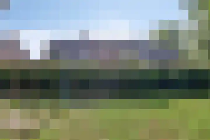 Leppa 58 Drachten thumbnail 36