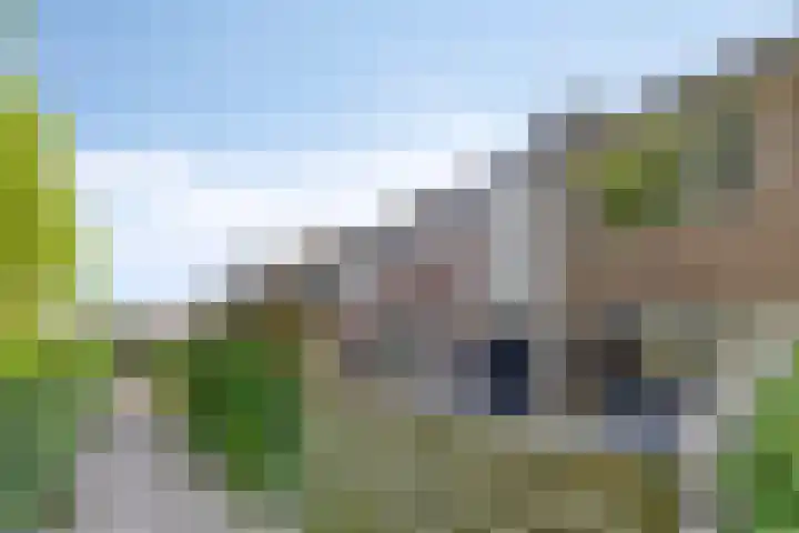 Leppa 58 Drachten thumbnail 4