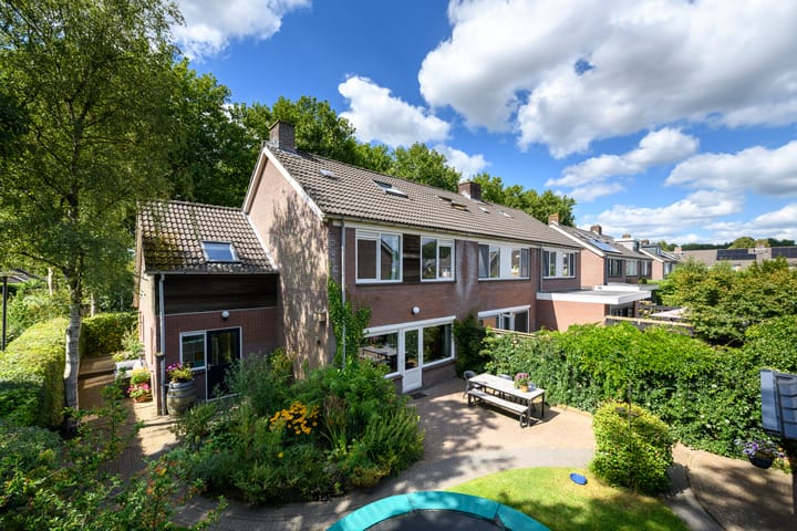 Leppa 60 in Drachten foto