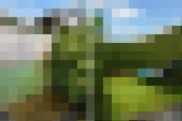 Leppedyk 1005 Grou thumbnail 40