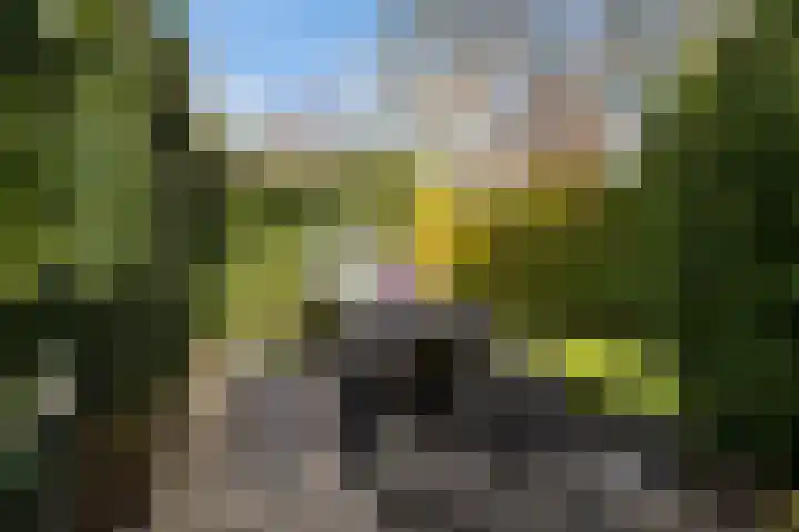 Leppedyk 1005 Grou thumbnail 41