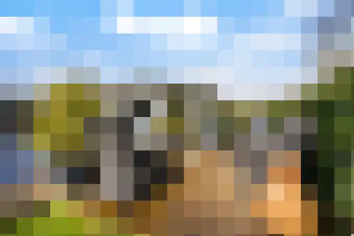 Leppedyk 1005 Grou thumbnail 44