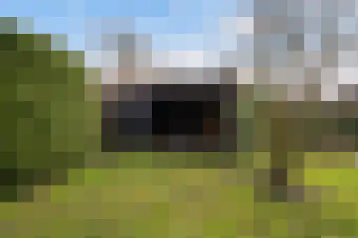 Leppedyk 1005 Grou thumbnail 46