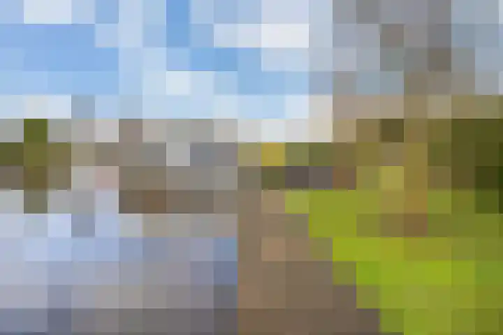 Leppedyk 1005 Grou thumbnail 52