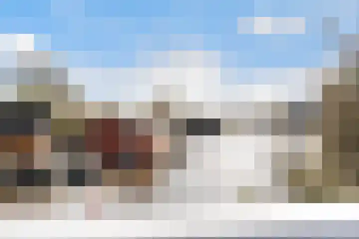 Leppedyk 1005 Grou thumbnail 55