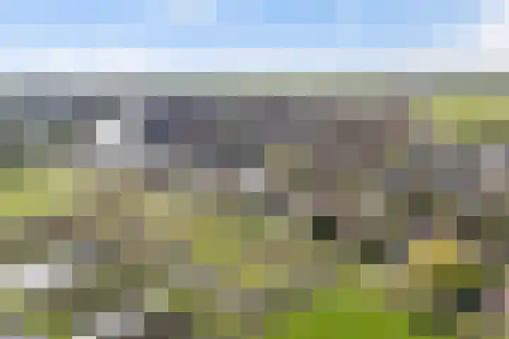 Leppedyk 1005 Grou thumbnail 56