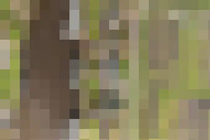 Leppedyk 1005 Grou thumbnail 57