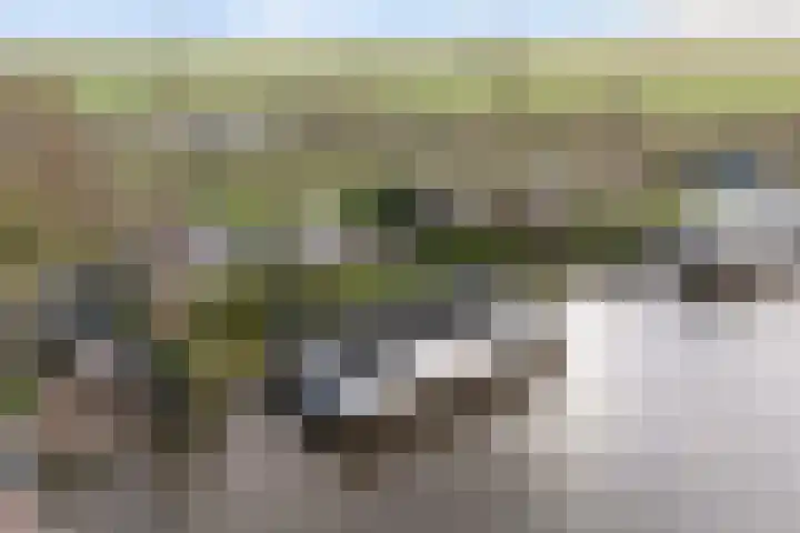 Leppedyk 1005 Grou thumbnail 60