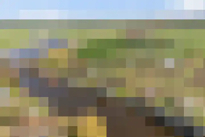 Leppedyk 1005 Grou thumbnail 61
