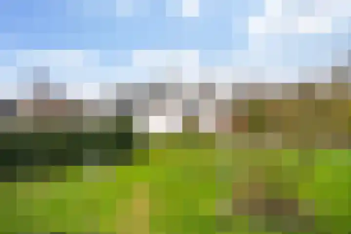 Leppedyk 1005 Grou thumbnail 7