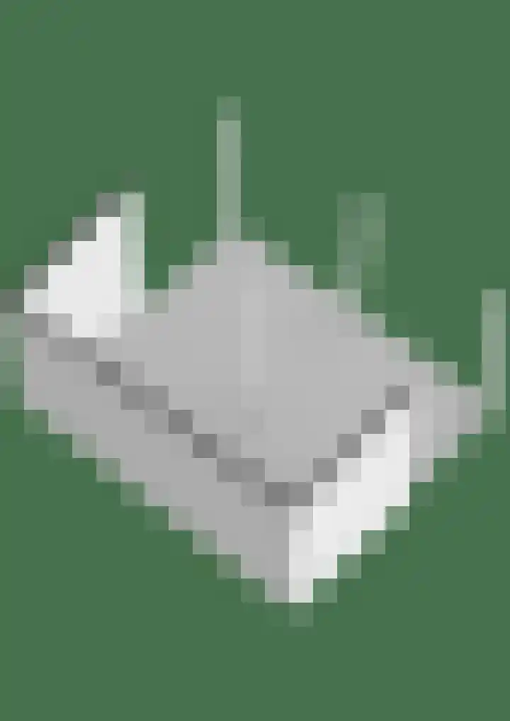 Leppedyk 1005 Grou thumbnail 70