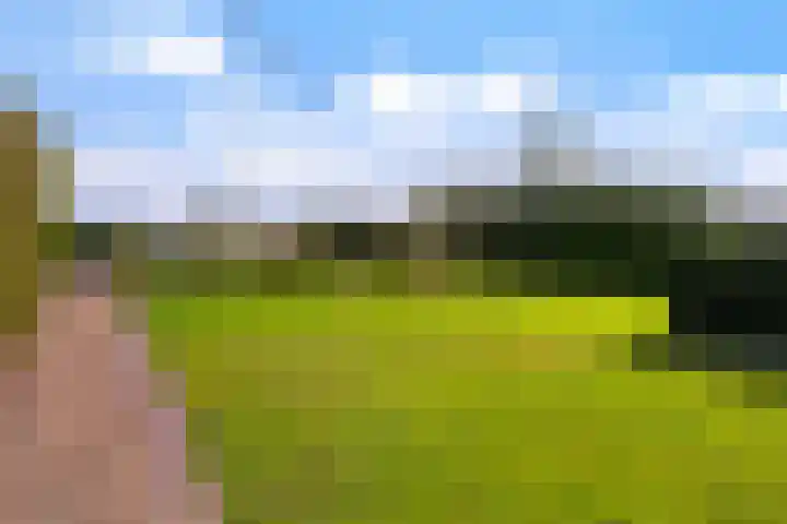 Leppedyk 1005 Grou thumbnail 9