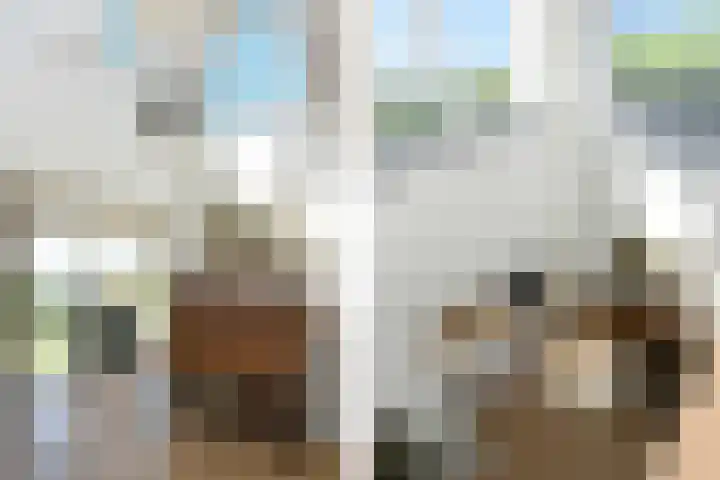 Lerschenstraat 15 Simpelveld thumbnail 10