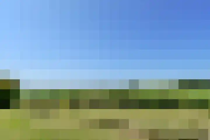Lerschenstraat 15 Simpelveld thumbnail 29