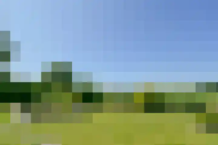 Lerschenstraat 15 Simpelveld thumbnail 37